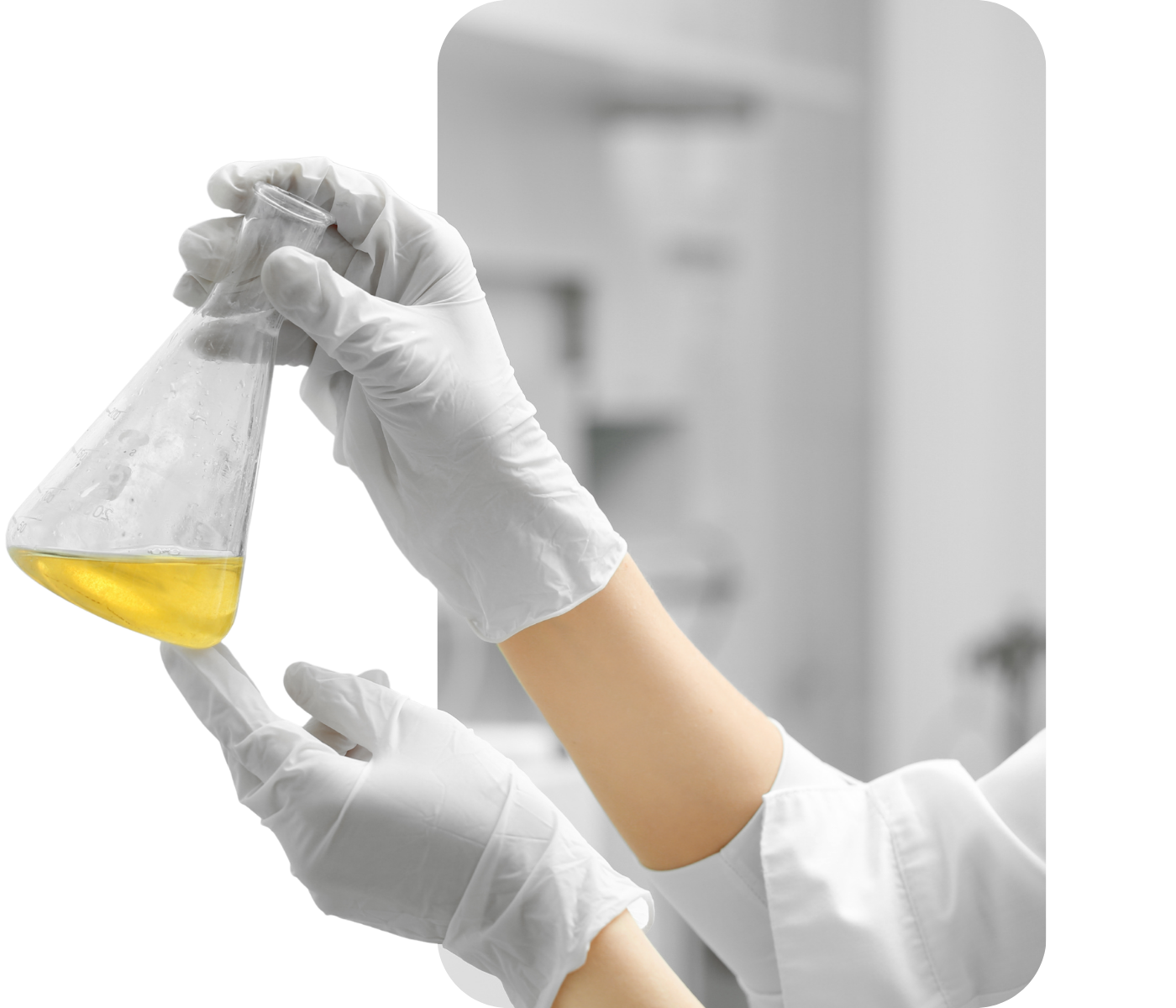 desde 2020, quando ainda integrava o grupo axys, o laboratório conquistou espaço e credibilidade ao oferecer exames clínicos e veterinários para animais de pequeno e grande porte, sempre com foco (3)